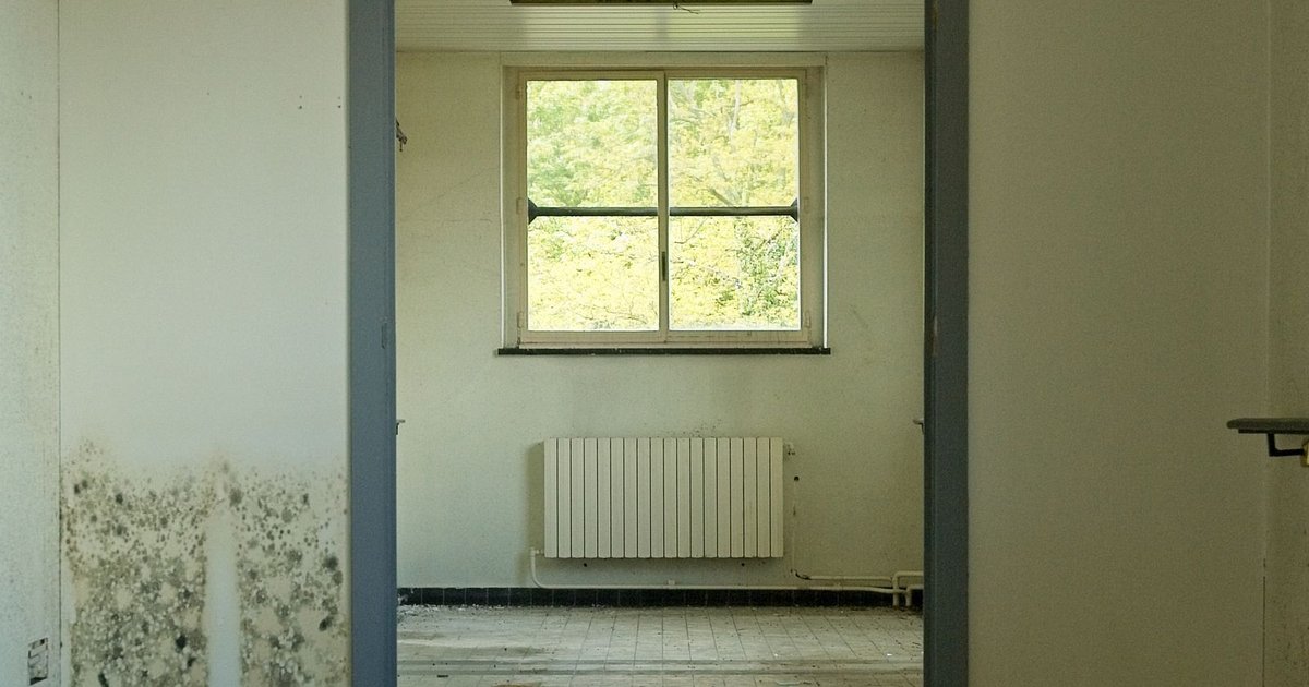 The First 24 Hours After Water Damage: What to Do Before Restoration Arrives