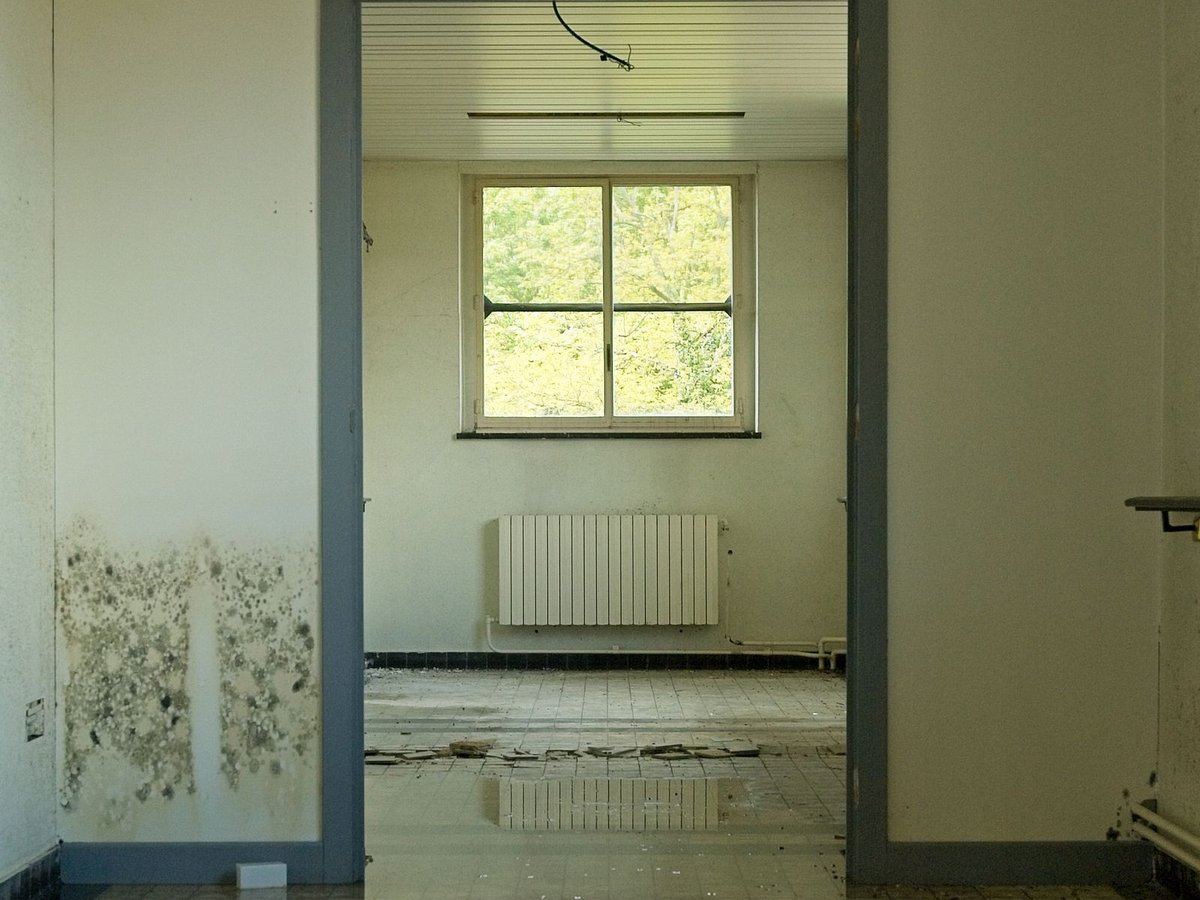 A room with visible mould on the wall and standing water reflecting the window, showing water damage before restoration